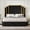 Black, variant on PLAUIN Upholstered Queen Bed Frame with 61" Headboard, Golden Plating Trim, Black