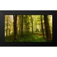 thumbnail image 2 of Londal, Leif 24x15 Black Modern Framed Museum Art Print Titled - The Little Tree, 2 of 5