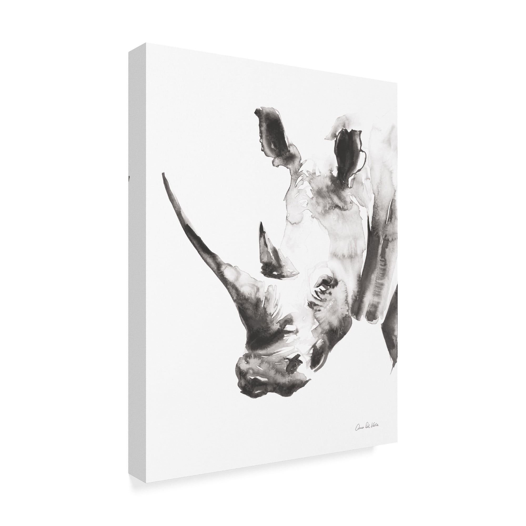 Trademark Fine Art 'Rhino Gray Crop' Canvas Art by Aimee Del Valle