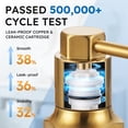 thumbnail image 3 of Wowow 8 in. Widespread Double Handle Bathroom Faucet with Pop-up Drain Kit in Gold, 3 of 7