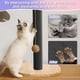 thumbnail image 2 of Papel de lija de repuesto para rascador de uñas de perro, papel esmeril para gatos, papel de lija, para muebles de mascotas, protector para puerta y pared (12 x 15 pies, negro), 2 of 7