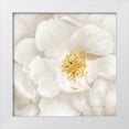 thumbnail image 1 of Murdock, Ramona 12x12 White Modern Wood Framed Museum Art Print Titled - Neutral Rose No. 4, 1 of 4