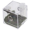 thumbnail image 1 of OULII Boîte d'Habitat pour Élevage d'Araignées Acrylique Transparente pour Insectes et Reptiles 1 Ensemble, 1 of 8