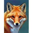 thumbnail image 1 of 30 × 40 Diamante Pintura Bordado Diamante Pintura Kit completo Diamante con cuentas Pasta Paisaje Accesorios Lienzo 5d Imagen Adulto Niño Adulto Diamante de imitación Lote Rompecabezas Dibujo Decoración de pared Dormitorio Otoño Paisaje Animal Coche Lindo 5D Ojos de zorro Pintura de diamante (1 pieza) brillar Electrónica, 1 of 5