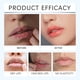thumbnail image 5 of Brillo de labios Bálsamo Labial Hidratante, Antisequedad, Nutritivo e Hidratante Labios, Bálsamo Labial No Graso (Buy 2 get 1 free), 5 of 7