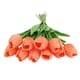 thumbnail image 1 of 10pcs Tulipanes Artificiales Para Decoración Flores Falsas De Tulipan, 1 of 7
