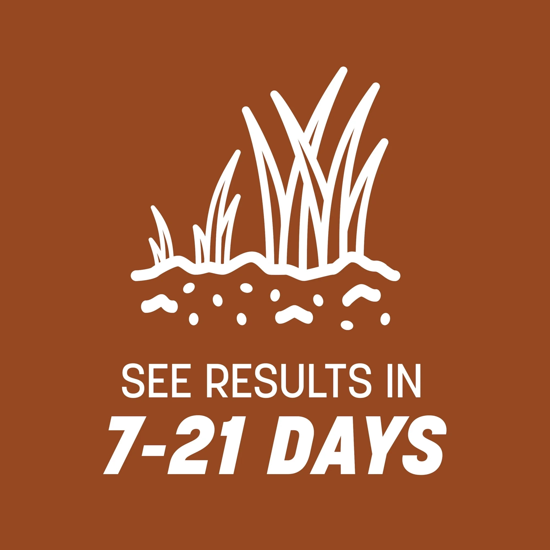 Pennington Sahara II Bermudagrass Penkoted Grass Seed 25 lb, Full Sun, Heat Tolerant