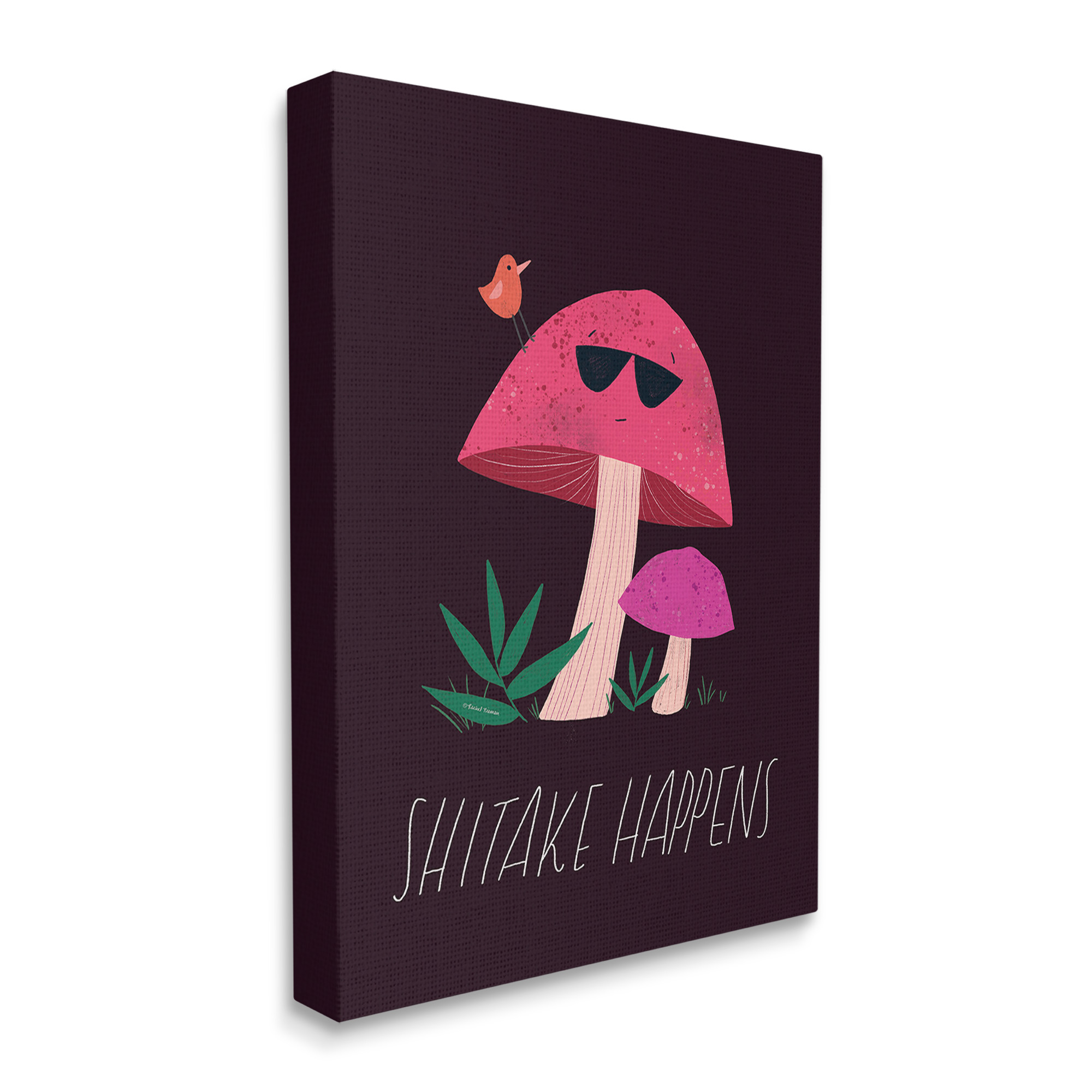 Stupell Industries Shitake Happens Mushroom Botanical & Floral Painting Gallery Wrapped Canvas Art Print Wall Art, 16 x 20