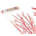 thumbnail image 5 of Ryvnso Placemats Set of 4 Corals Seashells Dining Mats Heat-Resistant Non-Slip Washable Table Mat, 5 of 8