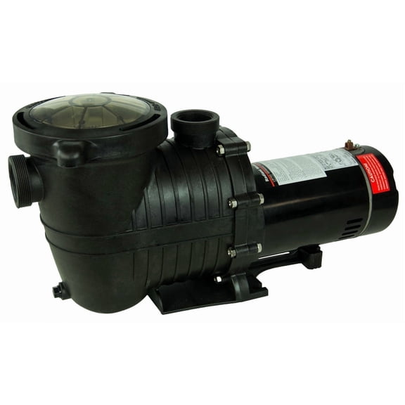 Rx Clear 1 HP Mighty Niagara Pump for Inground Pools up to 20,000 Gallons
