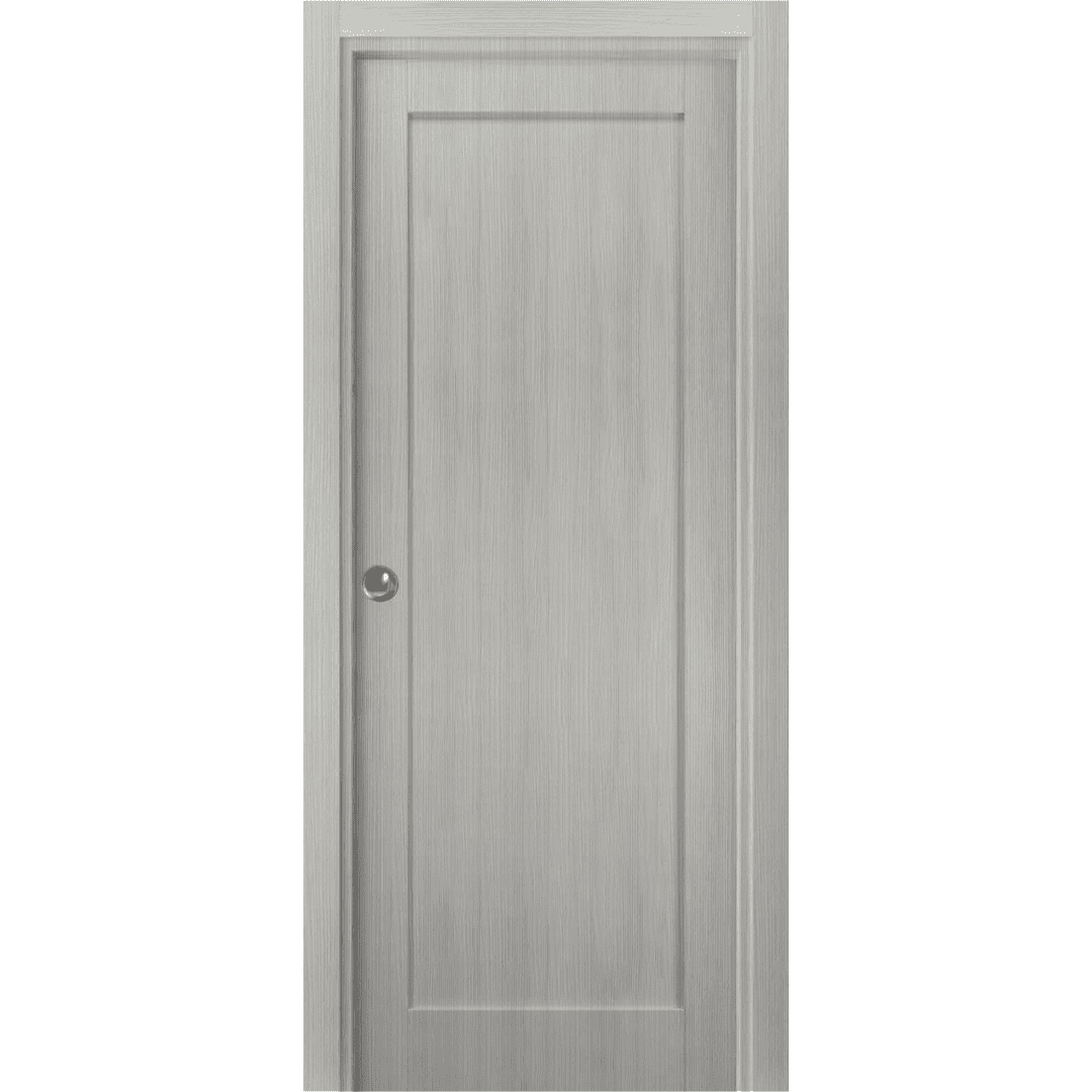 Panel Pocket Door 28 x 80 with Frames | Quadro 4111 Grey Ash | Kit ...
