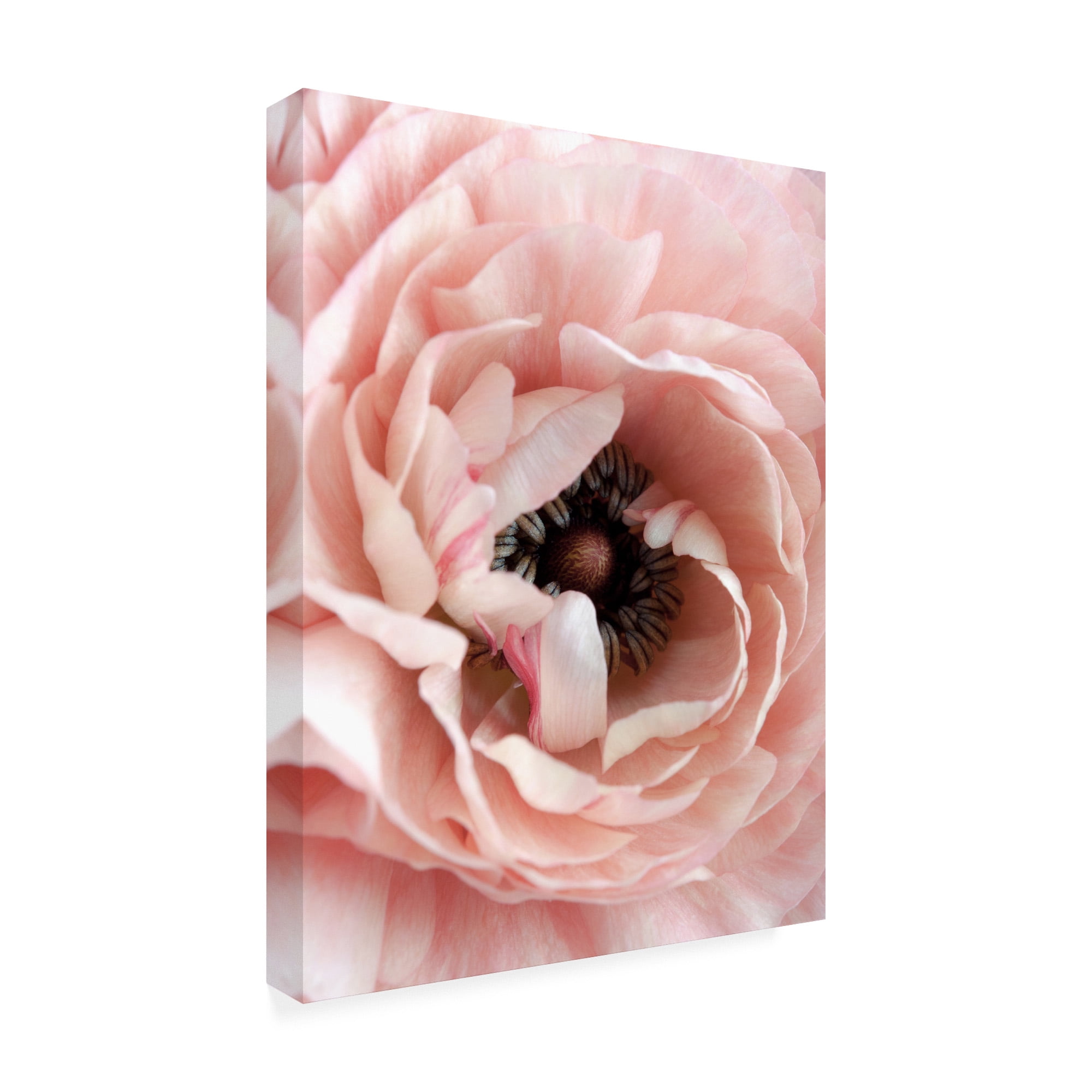 Trademark Fine Art 'Flower Fabrikken' Canvas Art by Design Fabrikken
