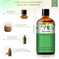 thumbnail image 2 of PHATOIL Tea Tree Essential Oil for Skin Hair Diffuser Massage, Pure Undiluted for Skin Nourish, 3.38 fl Oz, 2 of 9