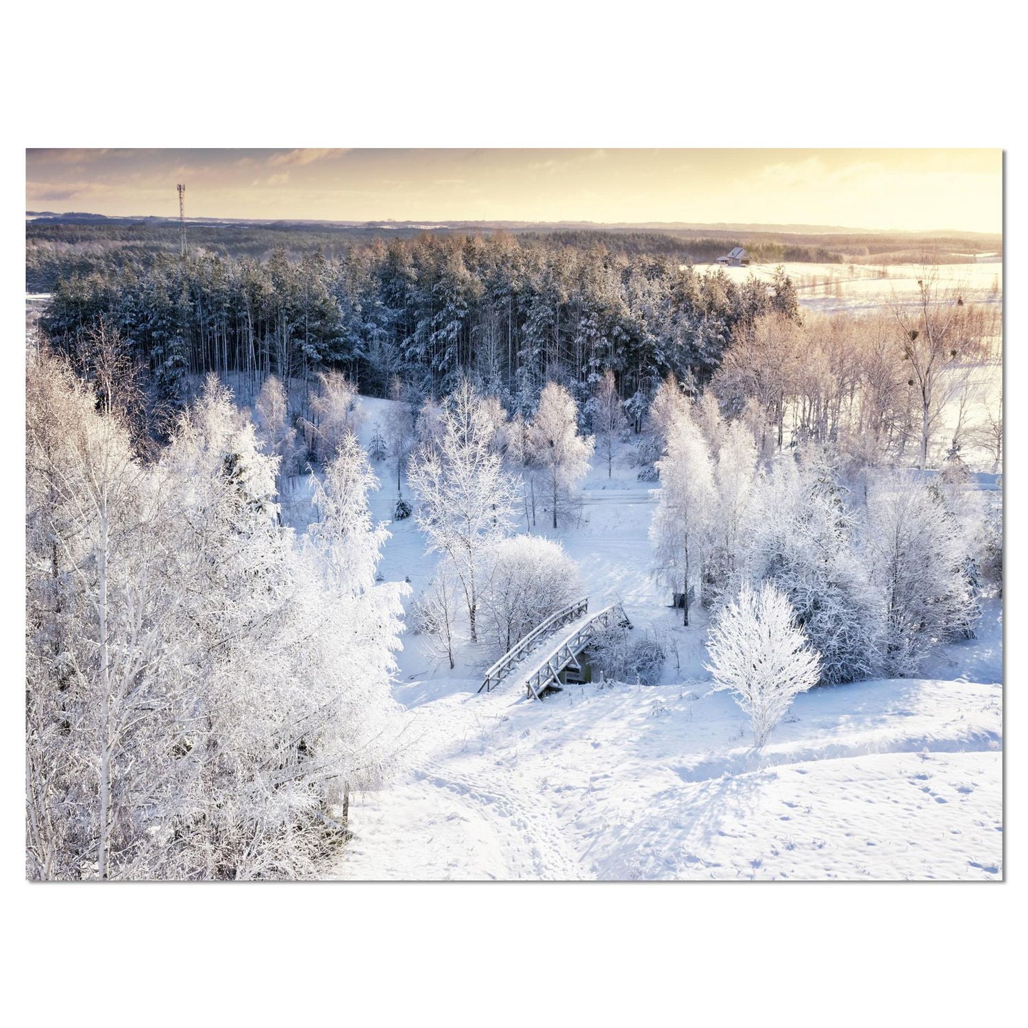 Designart Beautiful Winter Panorama Canvas Wall Art