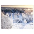 thumbnail image 1 of Designart Beautiful Winter Panorama Canvas Wall Art, 1 of 4