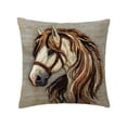 thumbnail image 2 of Dtchengua Embroidered Horse Pillow Cover - Luxurious Short Plush Throw Pillow Case, 18x18 Inch Decorative Accent for Sofa, Bed, or Chair, Cute Home Decor(2Pcs), 2 of 6