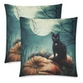 thumbnail image 1 of BOSDECO Housses de Coussin Chat Noir Impression Recto-Verso 18x18 Pouces, Ensemble de 2, 1 of 2