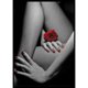 thumbnail image 1 of Taladro Pintura Diamante (DE9159) Piernas Manos Decoración completa para el hogar DIY Kit de mosaico Imagen 45x60cm FLhrweasw Nuevo, 1 of 1