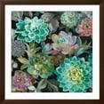 thumbnail image 2 of Art.com Floral Succulents v2 Crop Art Print by Danhui Nai, Brown Frame Wall Art, 38" x 38", 2 of 5