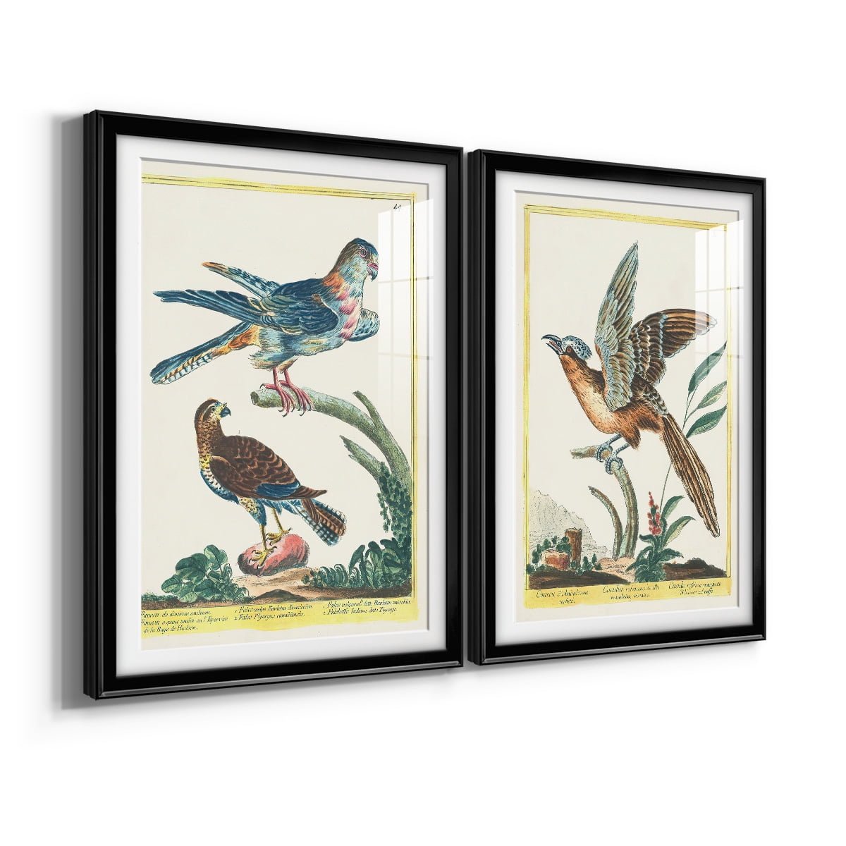 Wexford Home Pastel Birds V Premium Framed Print, 18.5" x 24.5" - Ready to Hang, Black (Set of 2)