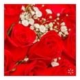 thumbnail image 4 of Bouquet de rosas 24 tallos, 4 of 4