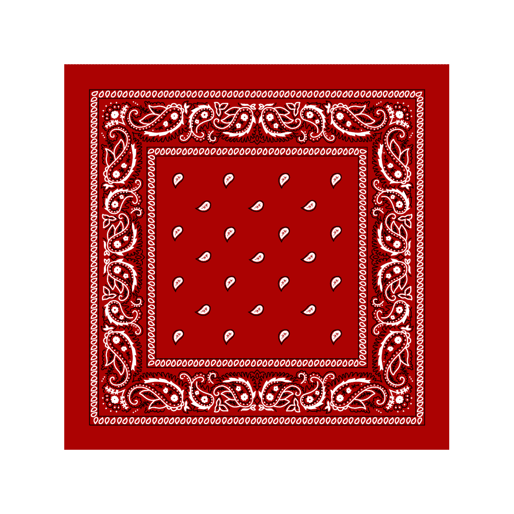 BANDANA Red Paisley Bandanas Dozen Packed 14x14