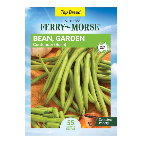 Ferry-Morse 12G Bean Contender Annual Vegetable Seeds, Full Sun