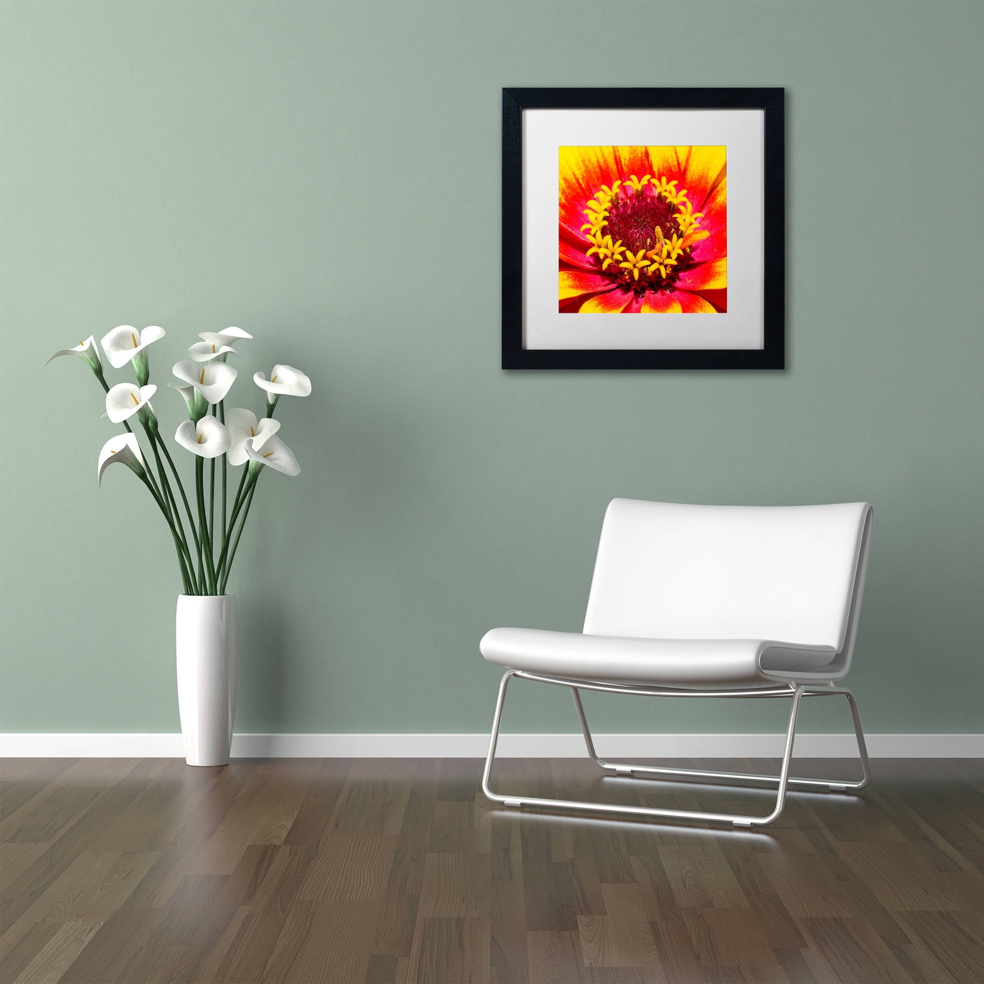 Trademark Fine Art "Floral Mass Coronal Ejection" Canvas Art by Kurt Shaffer, White Matte, Black Frame