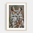 thumbnail image 2 of Great Horned Owl - Photography Wildlife Bird Nature Animal Woodland Scenic Unframed Wall Art Print 40 x 60 inches, 2 of 60