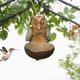 thumbnail image 3 of Comedero para pájaros en apariencia de a prueba de ardillas con cuerda para patio trasero libre, 3 of 7