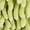 Green, variant on REGALWOVEN Soft Absorbent Fluffy Chenille Ball Hand Towels, Fuzzy Decorative Towel with Wall Hook for Bathroom (6 x 6 Inches) White 1-Piece