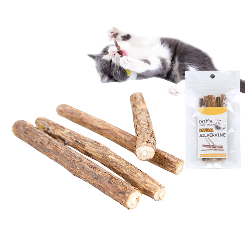 cat dental chew sticks