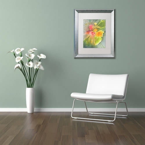 Trademark Fine Art 'Through Darkness Brightly' Canvas Art by Sheila Golden, White Matte, Silver Frame