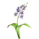 thumbnail image 2 of Artificial Wind Flower Decoration Realistic Fake Wind Flower Suitable For Home Flower Arrangement Table Centerpiece Living Room Wedding Decoration, 2 of 6
