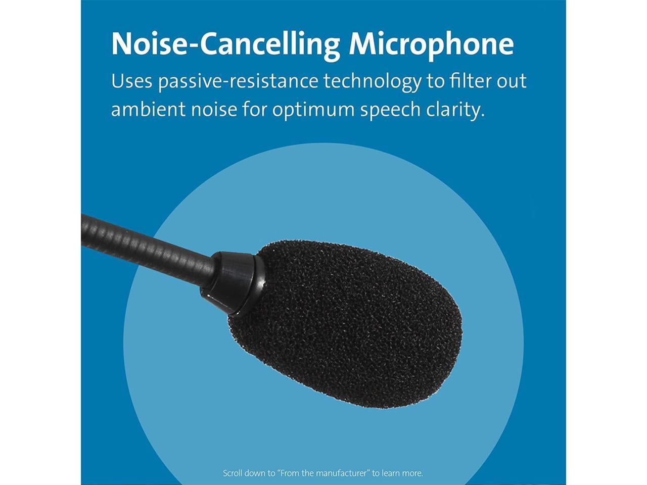 USB-C Hi-Fi Headphones with Mic - Hi-Fi Headphones
