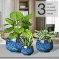 thumbnail image 3 of BUYMAX Ceramic Plant Pots , 10+8+6 inch Planters Pots for Indoor Outdoor Plants, Modern Large Flower Pots with Drainage Holes，Flower Pots for Home Garden Decor,Set of 3, Blue, 3 of 8