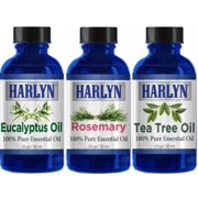Essential Oil Eucalyptus, Rosemary, Tea Tree - Made with 100% Pure Therapeutic Grade Essential Oils 1 oz (30 ml x 3) - Gift Set of 3 by Harlyn Made in USA (FAST DELIVERY)