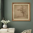 thumbnail image 2 of IDEA4WALL Premium Frame Wall Art Forest Tree Field Illustration Mid-Century Antique Nature Wilderness Illustrations Fine Art Retro Historic Wall Decor for Living Room, Office - 26"x26" Natural, 2 of 5