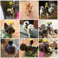 thumbnail image 7 of Summark Halloween Dog Clothes Dress Cartoon Pet Cowboy Horseback Riding Suit Cosplay Pet Supplies, 7 of 7