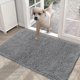 thumbnail image 1 of Dog Door Mat For Muddy Paws, Absorbs Moisture And Dirt, Absorbent Non-slip Washable Mat, Quick Dry Microfiber, 1 of 5