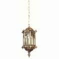 thumbnail image 1 of Luminaire Suspendu Extérieur Étanche, 1 of 5