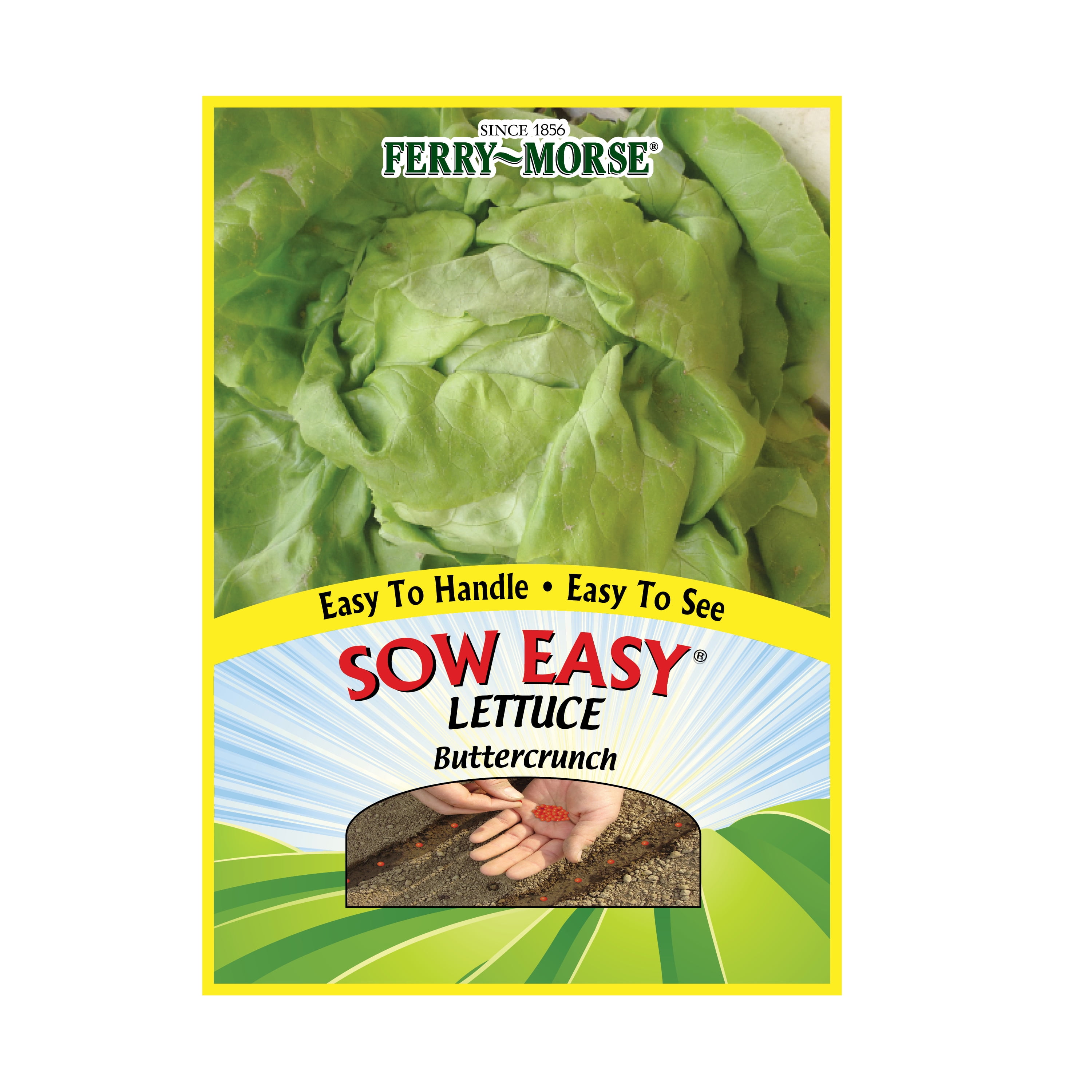 FerryMorse Sow Easy Lettuce Buttercrunch Vegetable Plant Seeds (1 Pack