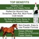 thumbnail image 2 of Tratamiento para la podredumbre del casco Pure Sole Thrush Dust 120 mL para caballos, 2 of 9