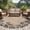 Light Brown Black, variant on Round Area Rug 5 Ft, Vintage Sunflower Washable Non-Slip Circle Carpet for Living Room/Bedroom, Farmhouse Country Floral Plant Low-Profile Runner Mats Collection Rugs for Indoor