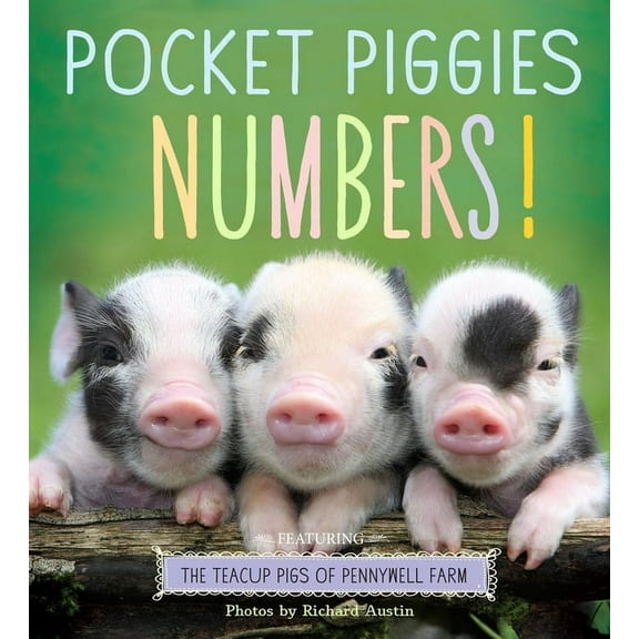 Pocket Piggies Numbers! - Boardbook