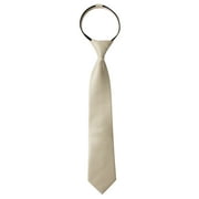 Spring Notion Boy's Solid Color Satin Zipper Tie with Gift Box
