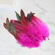 thumbnail image 4 of 50 piezas de Plumas decorativas BLESIY Rosa roja para manualidades, 4 of 8