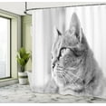 thumbnail image 4 of Ambesonne Cat Shower Curtain, Black and White Effect Kitten, 69"Wx84"L, Pale Grey, 4 of 4