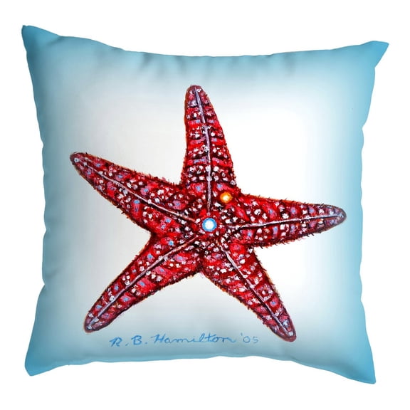 Betsydrake NC1169 18 x 18 in. Dicks Starfish No Cord Pillow