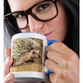 thumbnail image 2 of 3drose, African Hedgehog Wildlife, Native to Africa - Na02 Dno0400 - David Northcott, 15oz Two-tone Blue Mug, 2 of 6